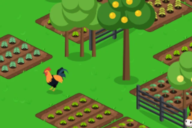 Canteiros de terra preparada com mudas plantadas